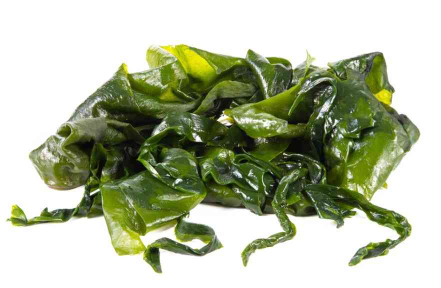 морская капуста