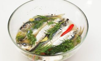 Маринованная ставрида