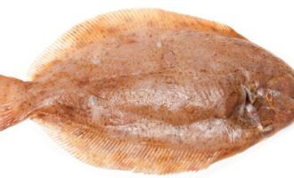 морской язык