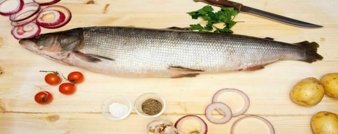 как выглядит нельма