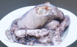 осьминог свежий