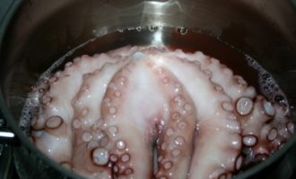 осьминог свежий