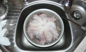 осьминог в воде