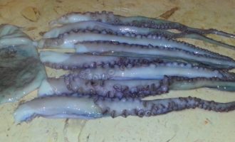 щупальца осьминога