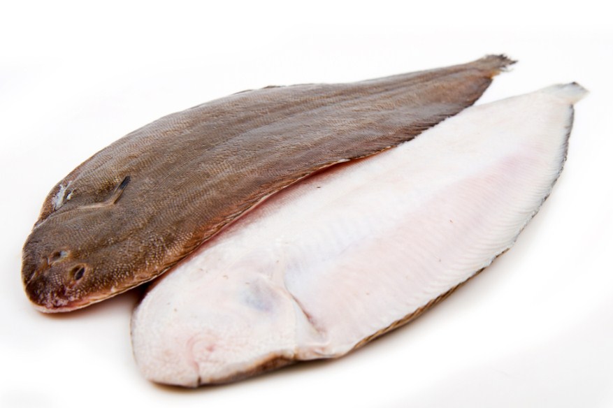 жирная рыба