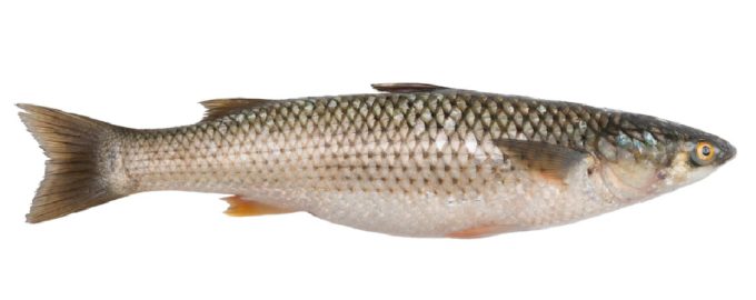 как готовить