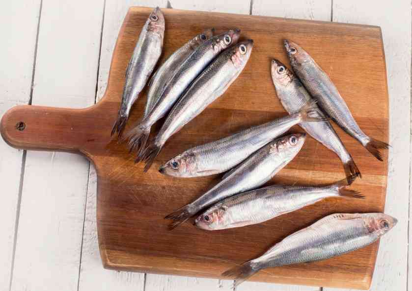 хамса на доске 