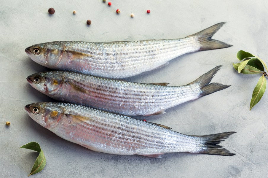 приготовление кефали