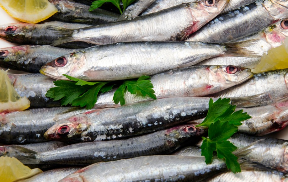 свежая путассу