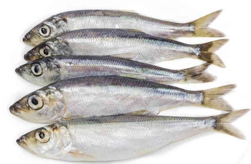 свежая тюлька