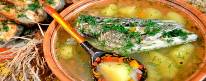 уха из палтуса