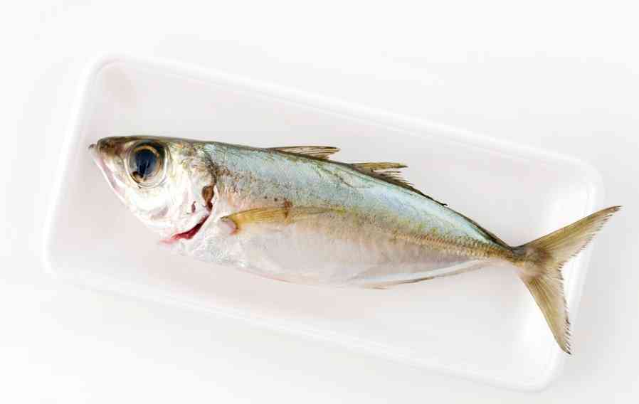 копченая ставрида 