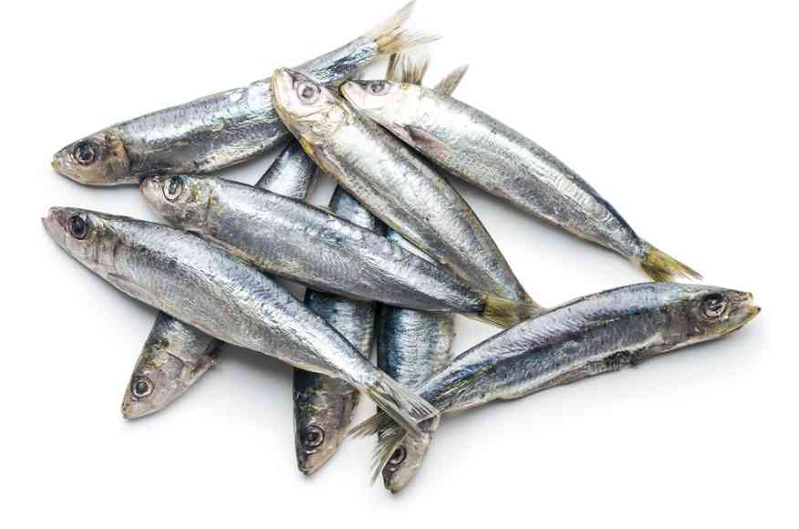 соленая рыба