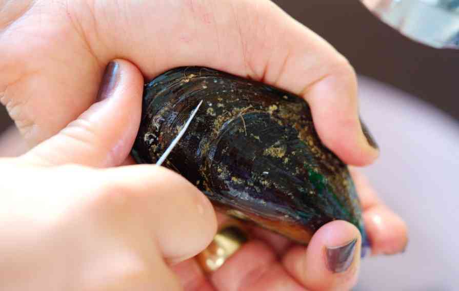 как чистить мидии