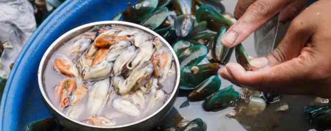 как очистить мидии