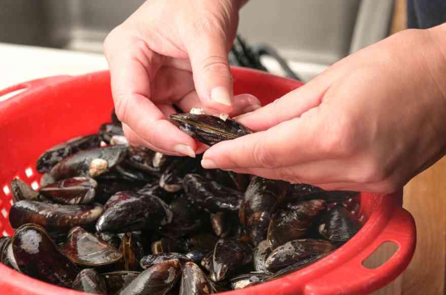 как правильно чистить мидии 