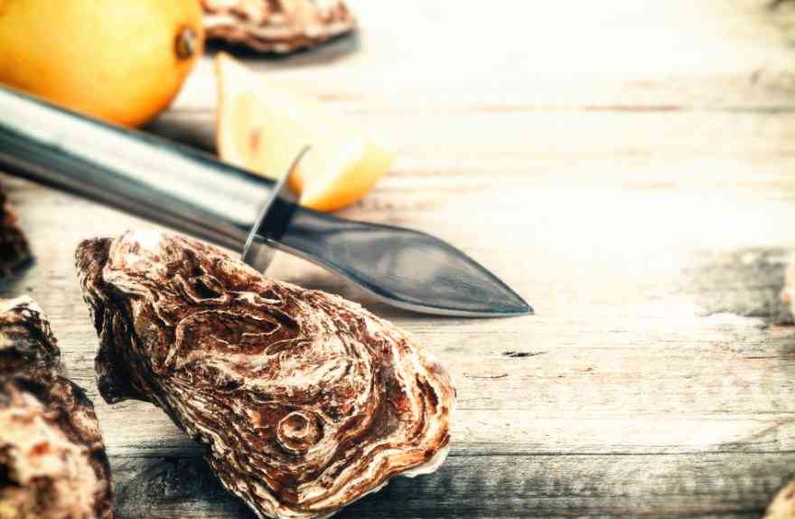 как готовитьустрицы