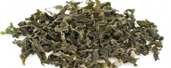 капуста ламинария