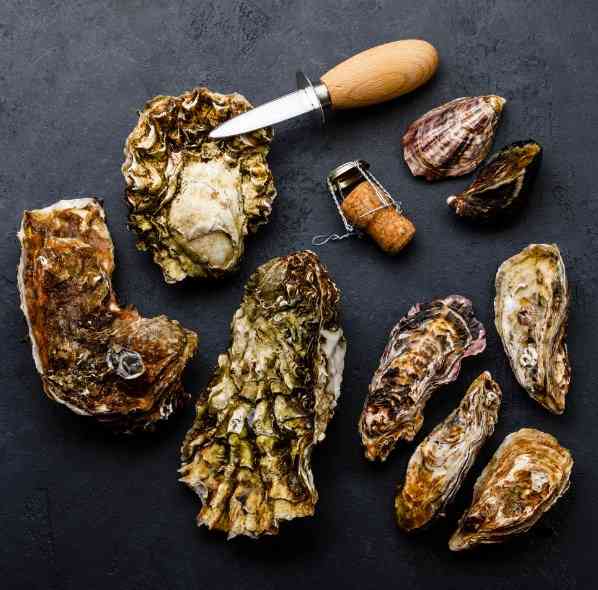 какчистить устрицы