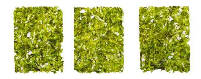 кусочки нори