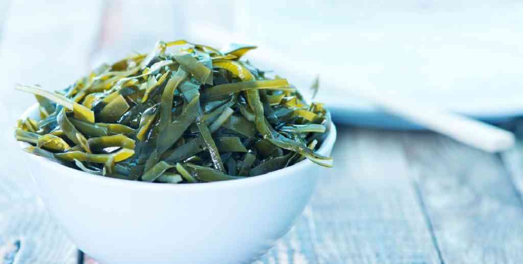 морская капуста