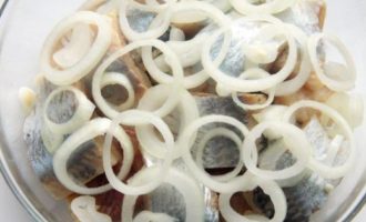 лук и сельдь