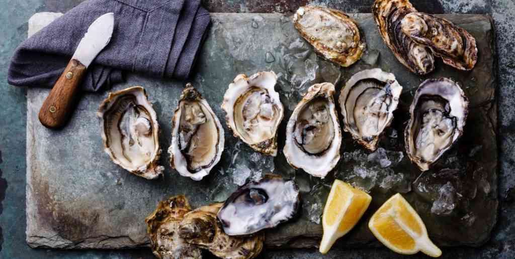 устрицы на блюде