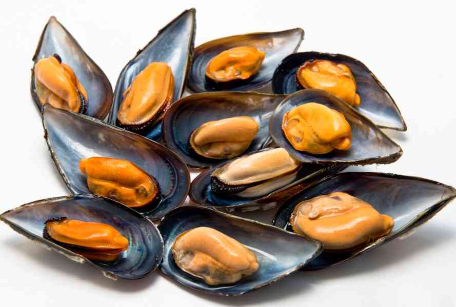 маринованные мидии