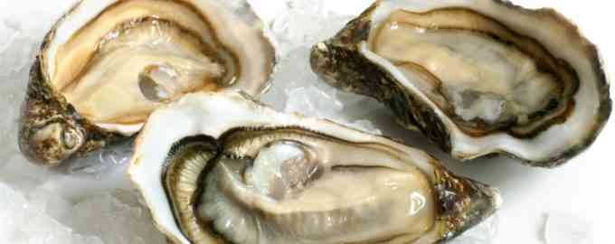 устрицы