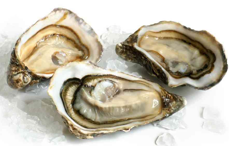 устрицы