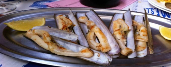 Моллюск морской черенок