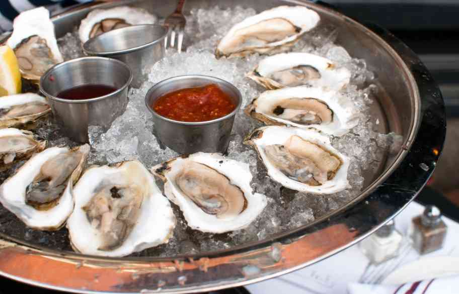 свежие устрицы 