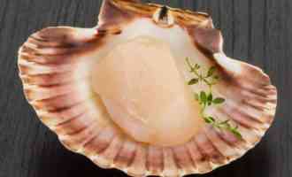 деликатес в ракушке