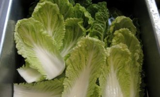 пекинская капуста