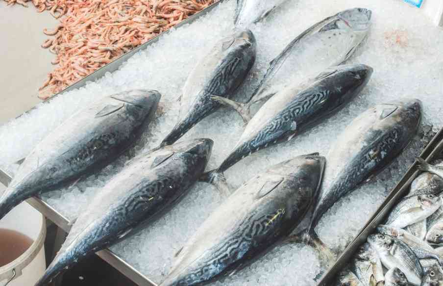 свежая рыба