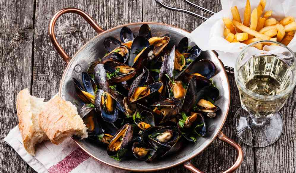 как выглядят мидии