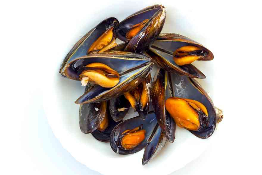 несколько мидий