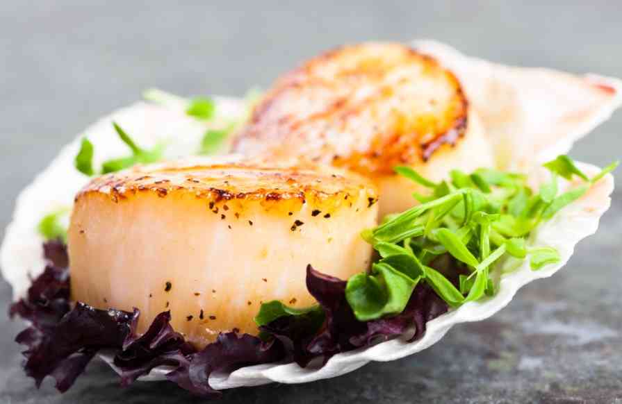 подача морского гребешка