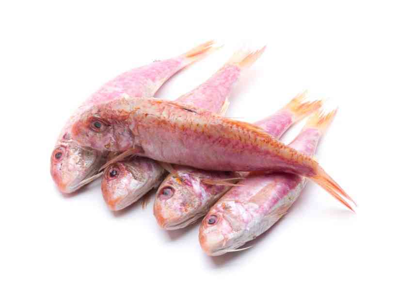 барабулька