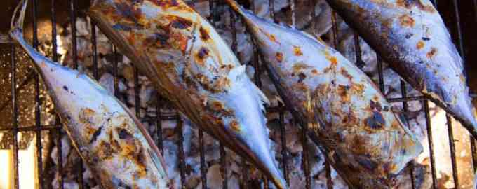 пеламида гриль