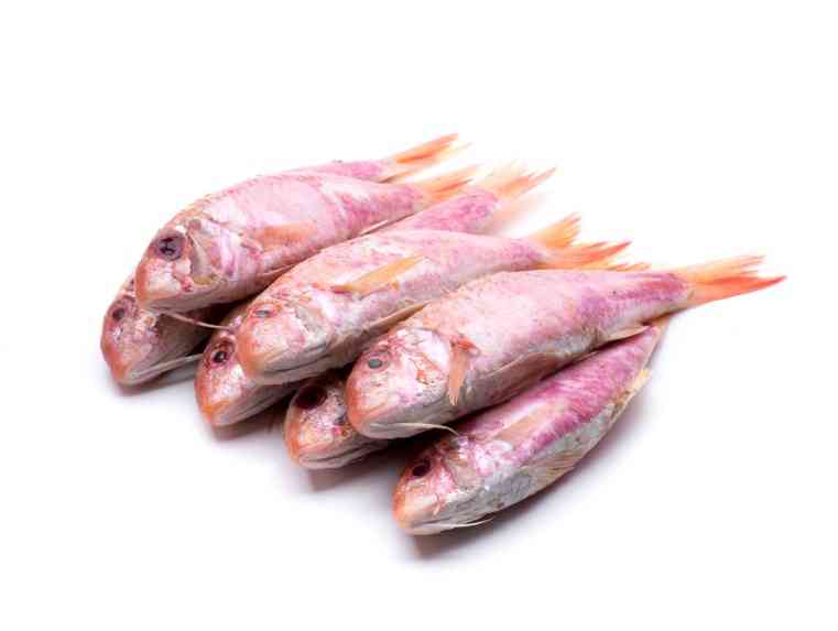 рыба барабулька