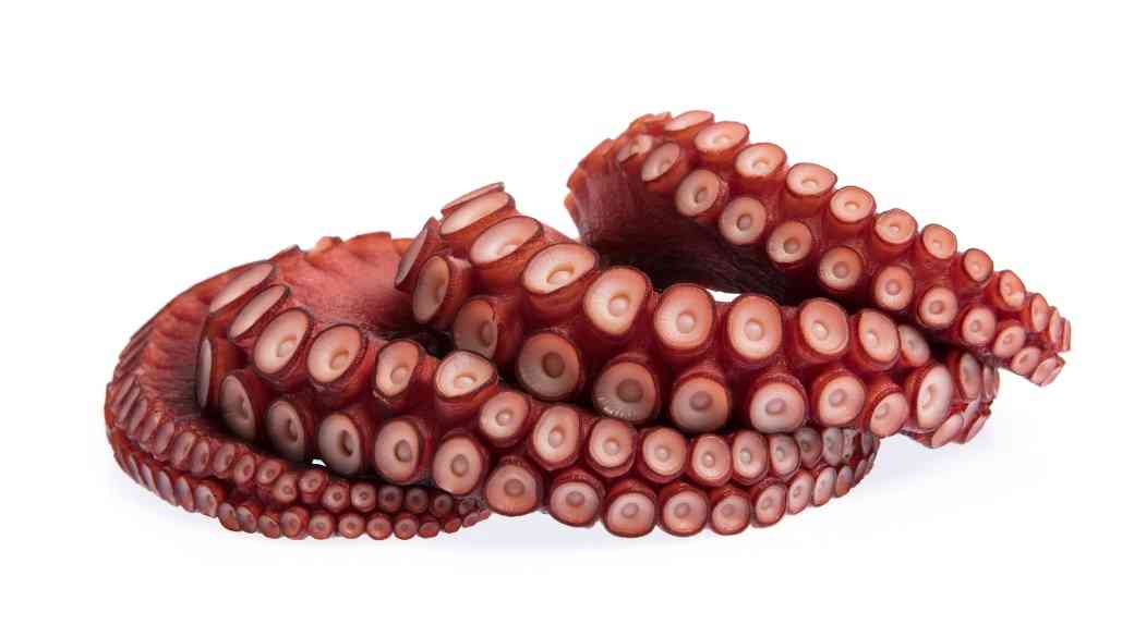 щупальца осьминога 