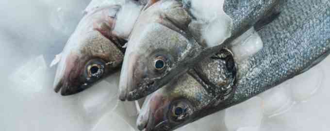 свежая рыба на льду