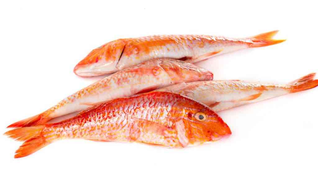 свежая рыба