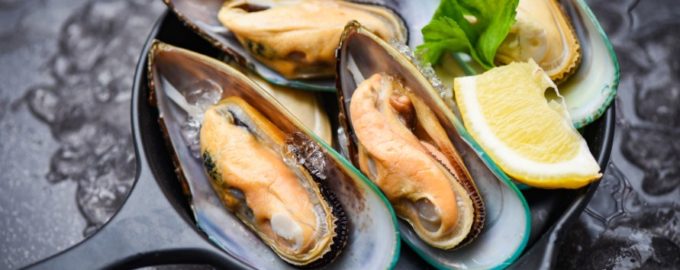 свежие мидии