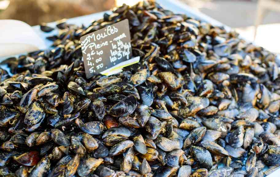 продажа мидий