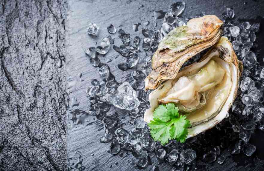 свежие устрицы