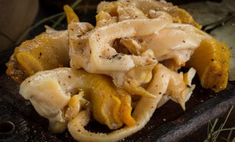 Трубач моллюск