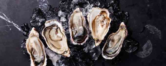 как подают устрицы