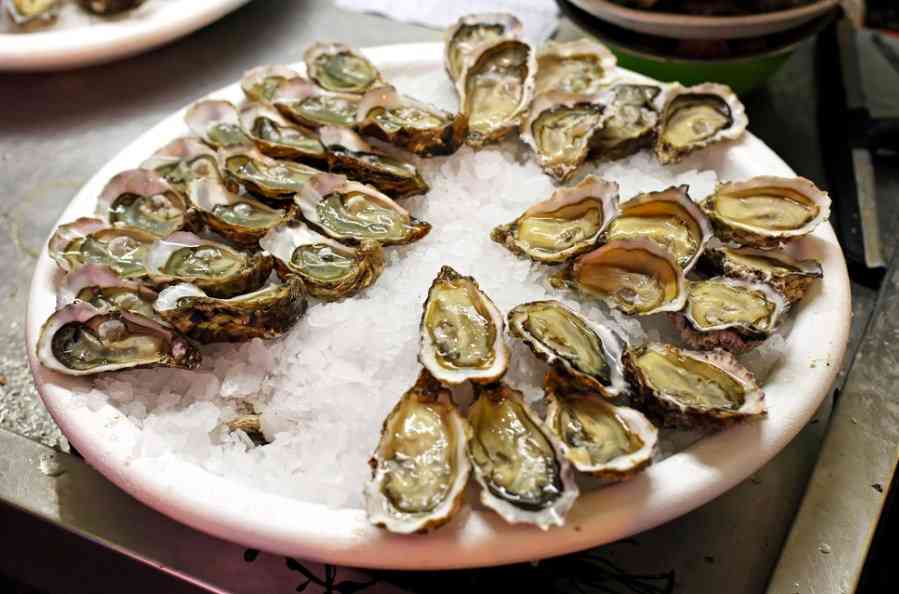 устрицы на льду